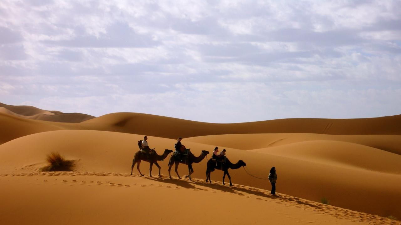 Исмаил Шангареев - Верхом на верблюдах по пустыне (ОАЭ)
