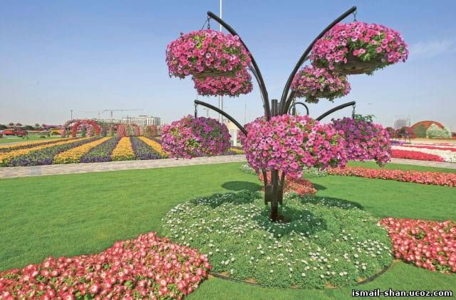 Шангареев Исмаил - Цветочный Парк в ОАЭ
