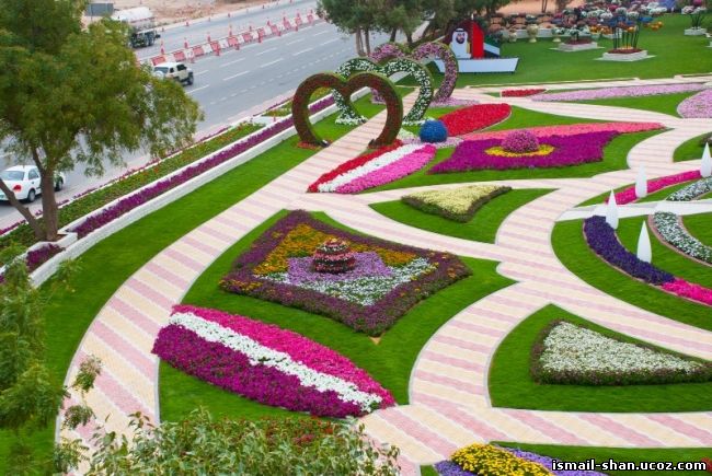 Шангареев Исмаил - Цветочный Оазис в Эмиратах